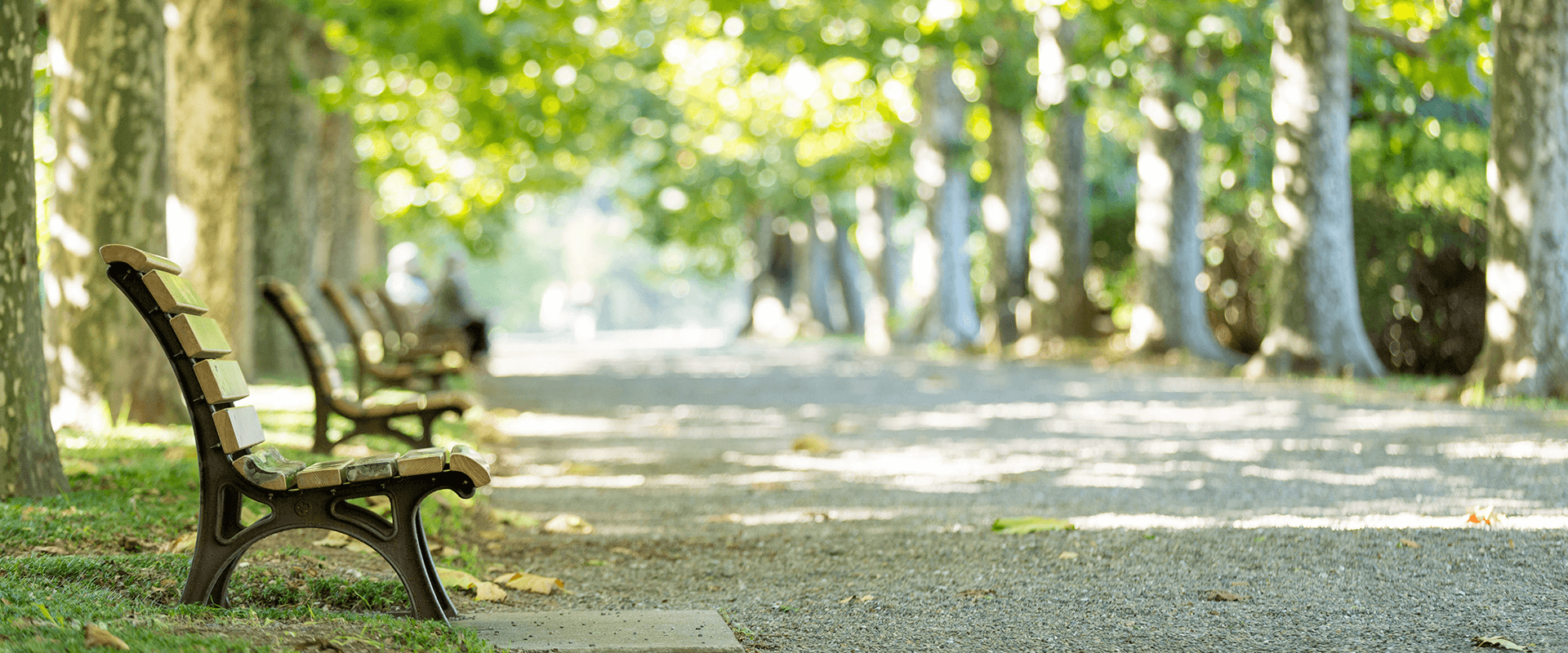 保谷駅前こころのクリニックのメインビジュアル、緑の公園とベンチ